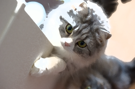 イラスト集_猫 イラスト集_猫