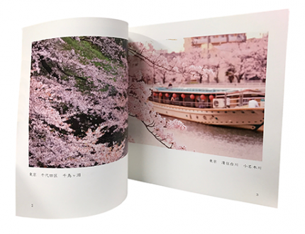 丸山写真集中身 丸山写真集中身